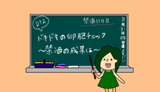 術後妊活2周期12日目〜卵胞チェックの日〜【妊活徒然日記】