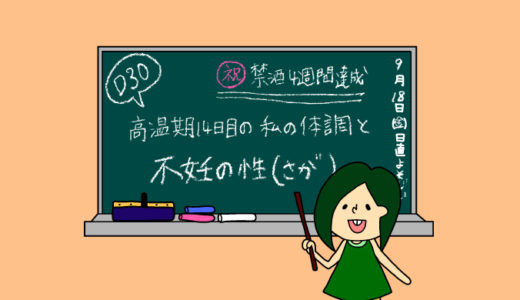 術後妊活2周期30日目〜（高温期14日目）今日の体調と不妊の性（さが）〜【妊活徒然日記】